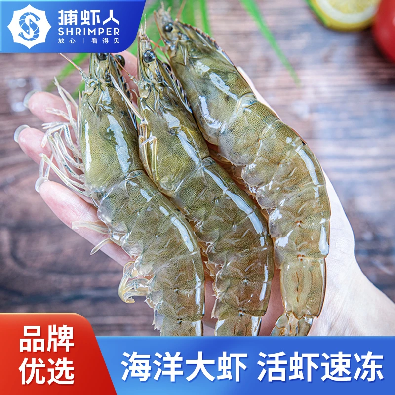 【气冻3斤3040规格】 活海虾气冻大虾 冷冻单只均匀 海鲜