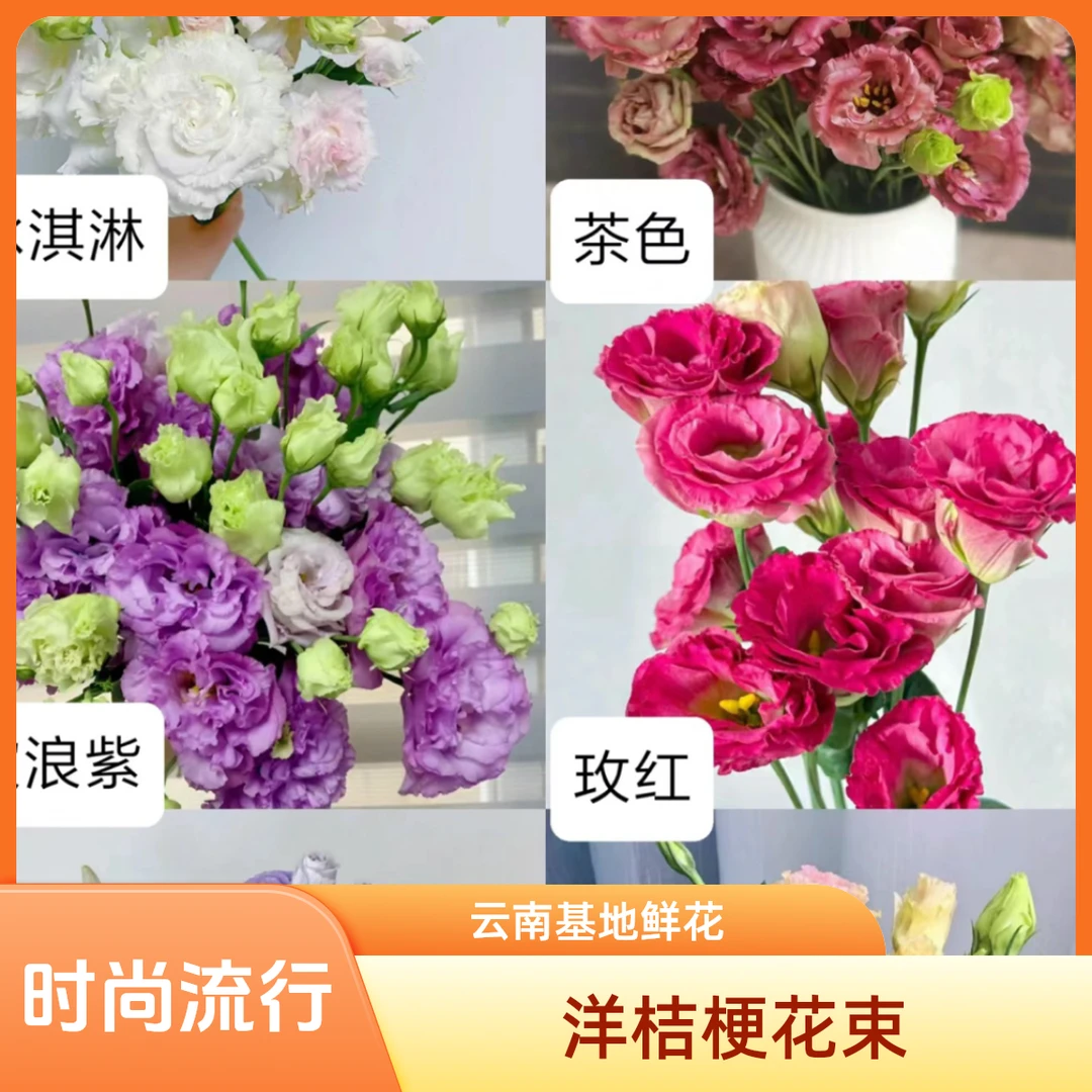 冷链 云南基地鲜花 洋桔梗 1-4扎一个运费15%不售后