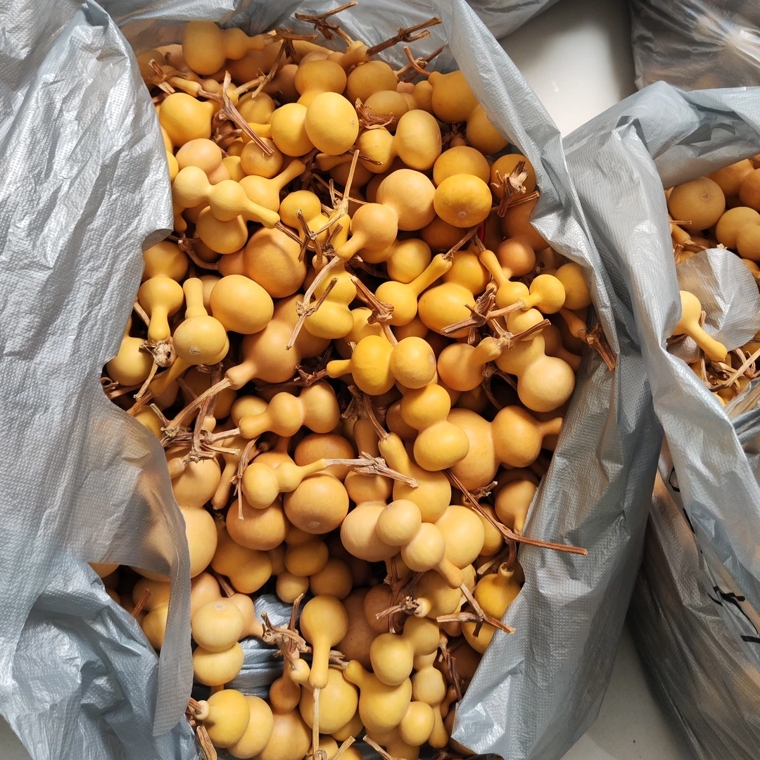 天然手捻小葫芦手把件龙头挂件迷你摆件收藏