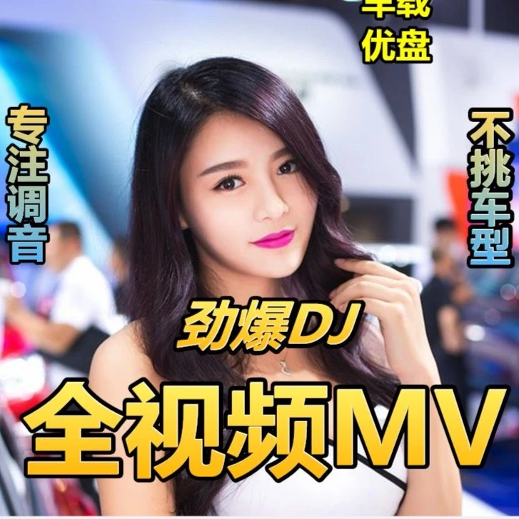 抖音热门车载经典音乐U盘高清视频DJ无损音乐MV视频U盘品质dj串烧