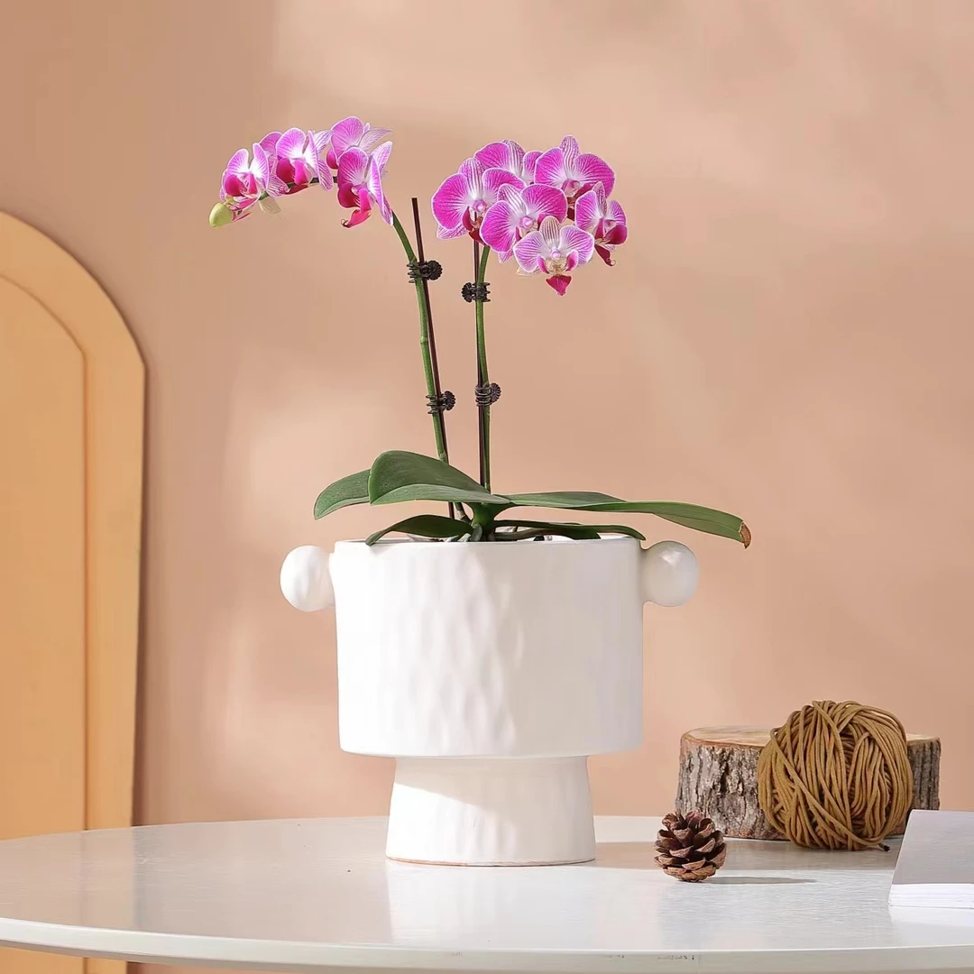 雾化白新款手工陶土花盆大口径简约艺术盆栽透气百搭素烧多肉包邮