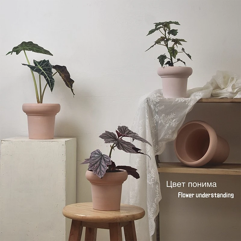 雾化简约兰花盆带托盘鲜花绿萝多肉蕨类盆栽透气红陶室内阳台盆器