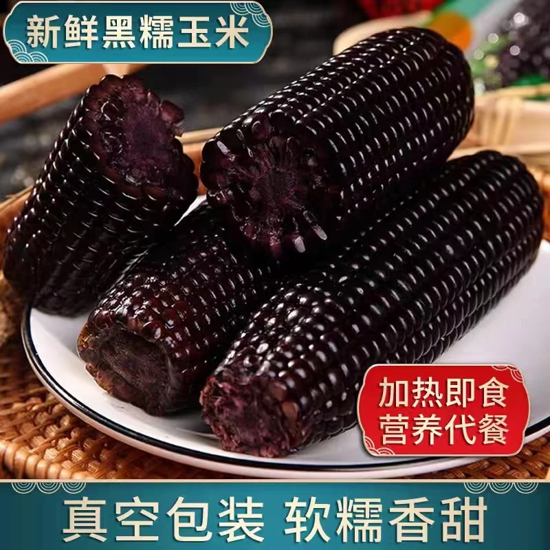 【试吃2根】【中等大小】24年头茬黑糯玉米10根单根200g以上