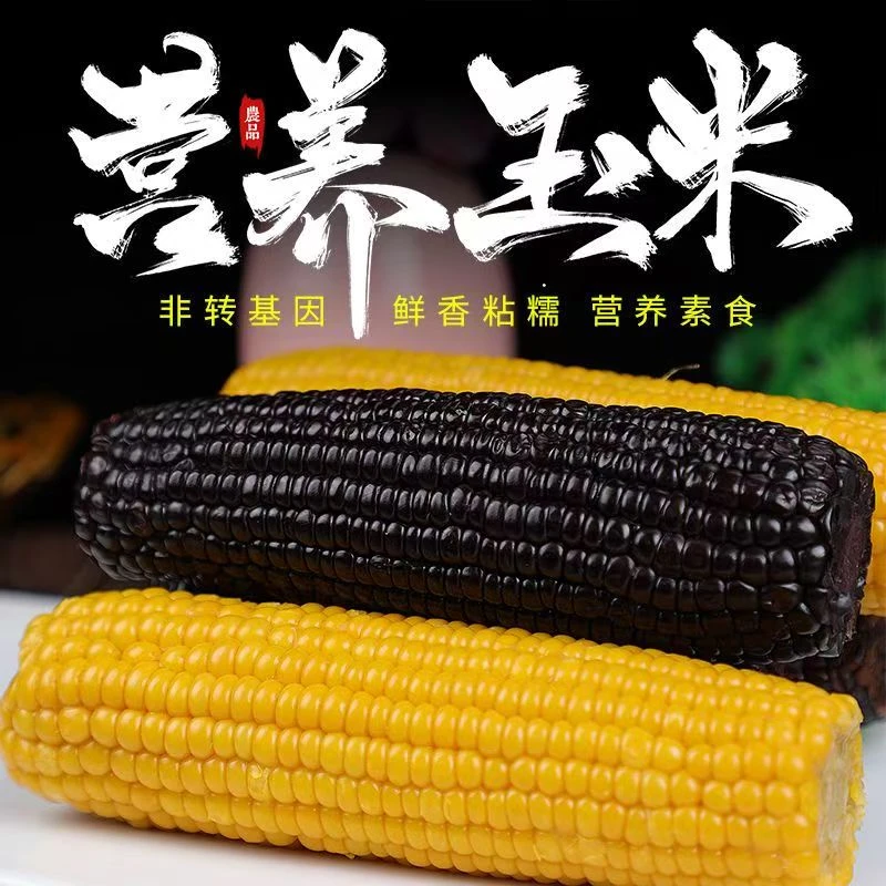 【试吃1根】24年头茬新鲜糯玉米真空玉米整箱4根单根260-320g