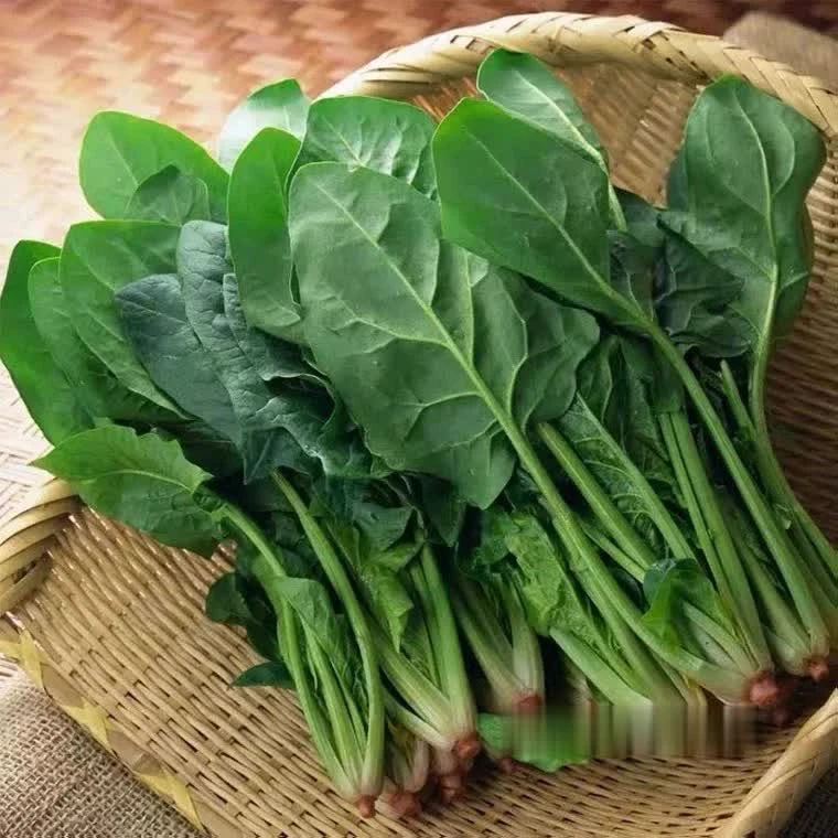 新鲜菠菜250一份
