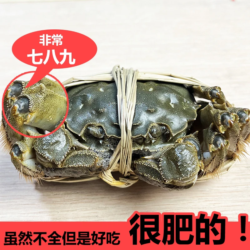 【实惠小公蟹】3两左右公蟹9/10/11只大闸蟹养殖活蟹冷链
