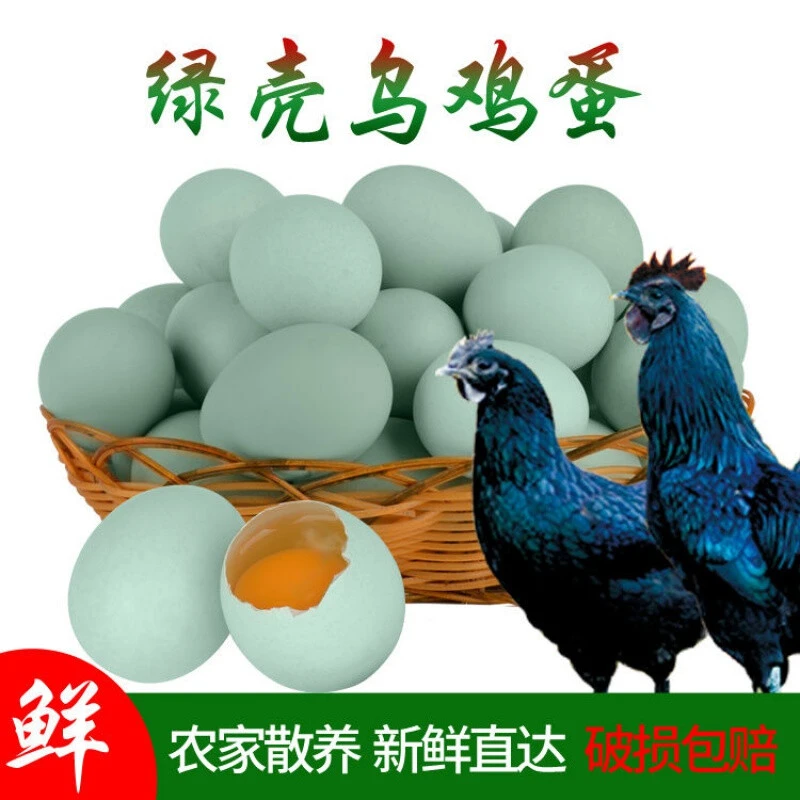 【现捡现发】30枚包邮绿壳鸡蛋乌鸡蛋散养鸡蛋【单枚30-40g】土鸡