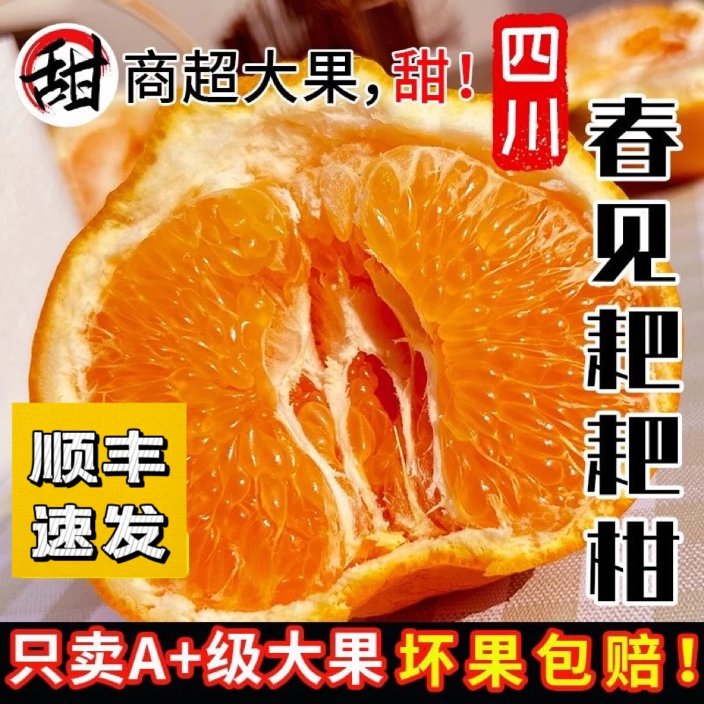 四川春见耙耙柑5斤/10斤整箱顺丰包邮现摘爆汁爆甜大果柑橘丑橘
