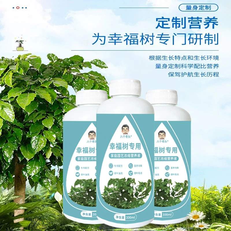 幸福树防落叶黄叶掉叶专用营养液家用养花卉绿植水培通用型植物
