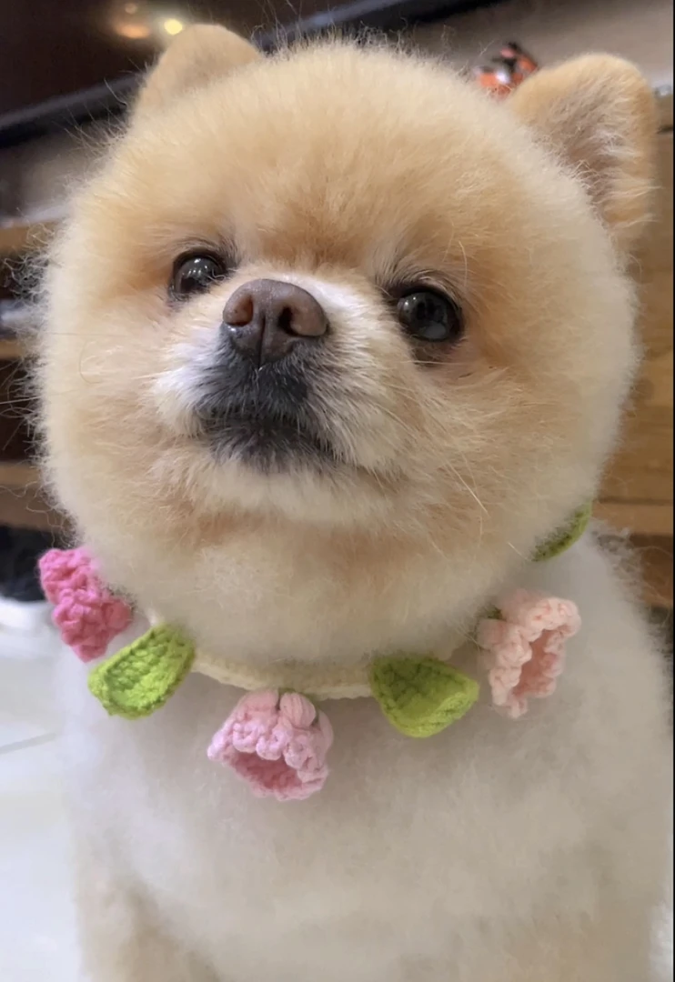 纯手工钩织物品可爱围脖玩偶