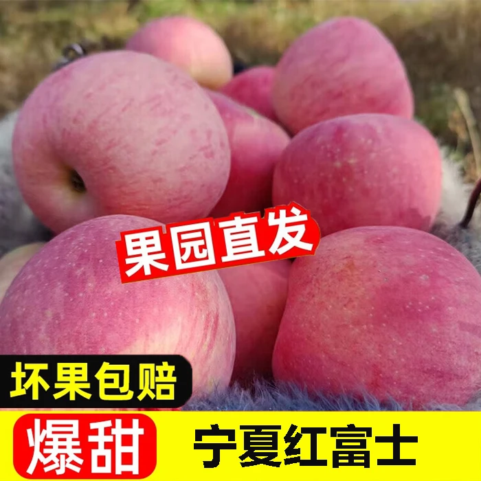 【产地直发】宁夏红富士苹果脆甜新鲜现摘当季水果礼盒整箱3-9斤