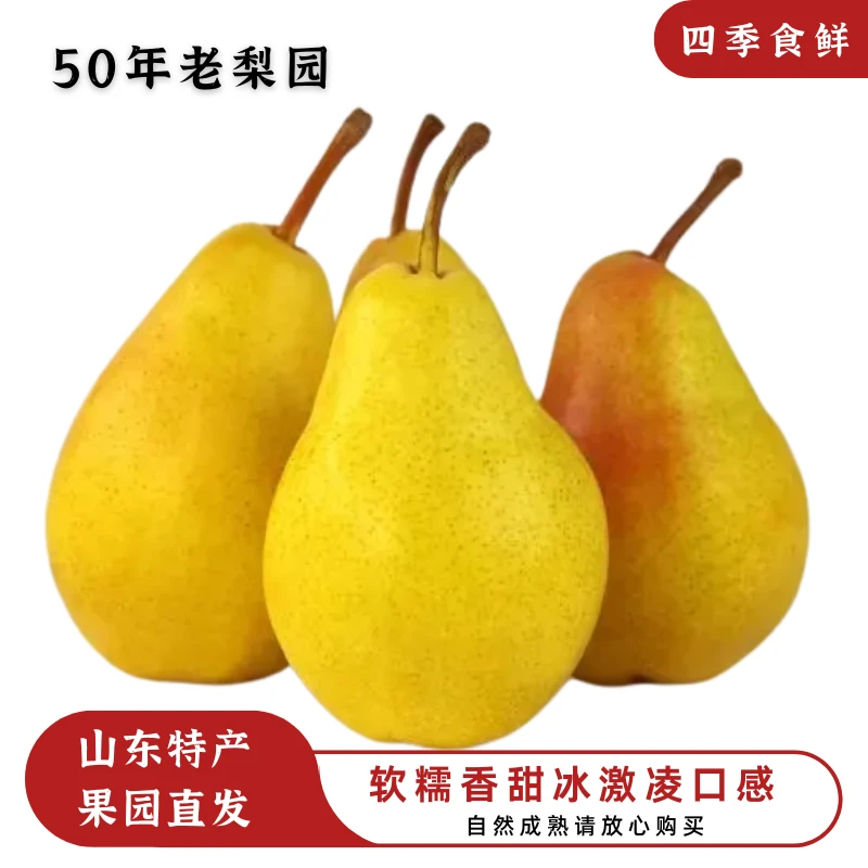 【烟台特产】黄皮烟台太婆梨软糯香甜带箱4.5-5斤应季水果产地直发
