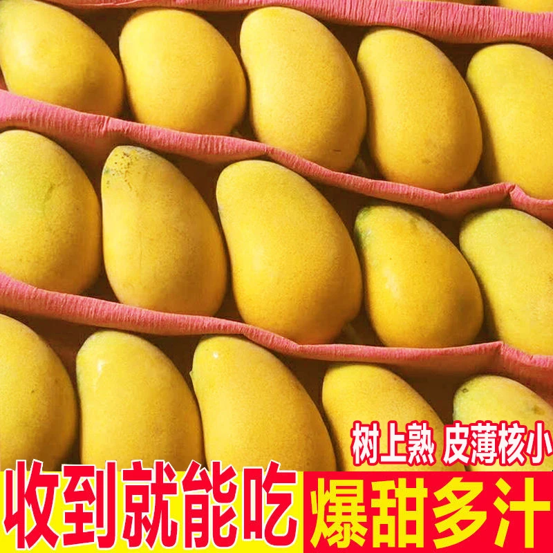 广西芒果10斤一箱小台芒整箱树上熟小台农芒果水果产地直发5斤2斤