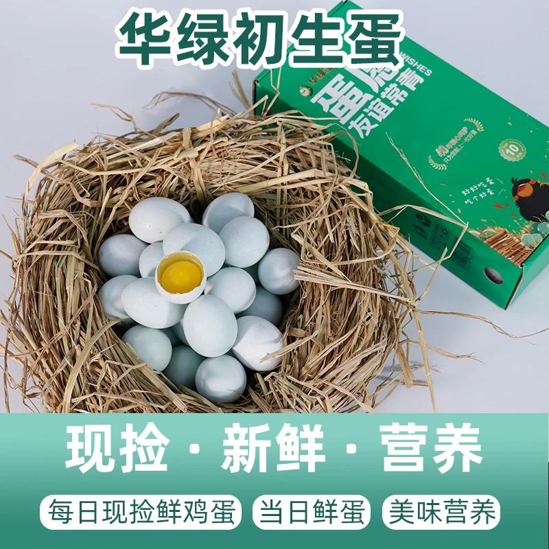 黑羽绿壳蛋10枚/30枚/50枚实惠装新鲜无腥味绿壳蛋孕妇小孩