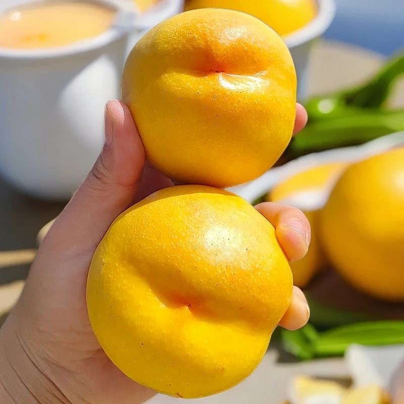 【顺丰快递】黄油桃黄桃山东蒙阴蜜桃新鲜水果桃子脆甜没毛产地直发