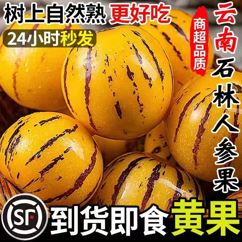 【自然熟】云南石林人参果新鲜低糖富硒黄心黄果孕妇当季水果整箱