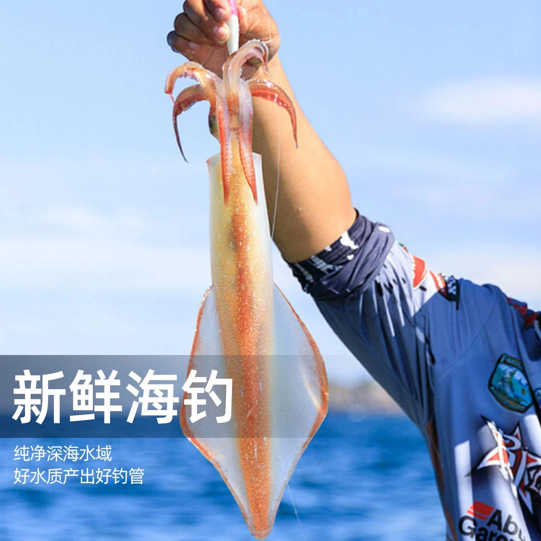 海钓鱿鱼手钓火箭鱿鱼 新鲜活冻 单个250g-349g 规格5-6个 3斤装