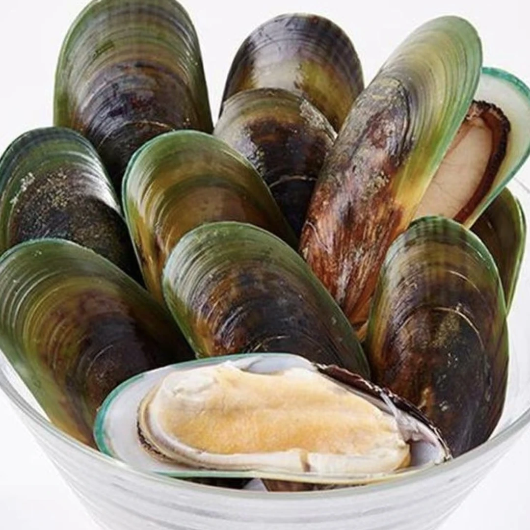 鲜活青口贝（散称500g）