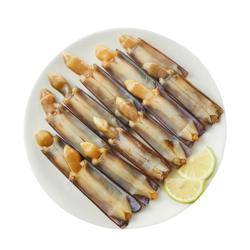 鲜活蛏子王（散称）