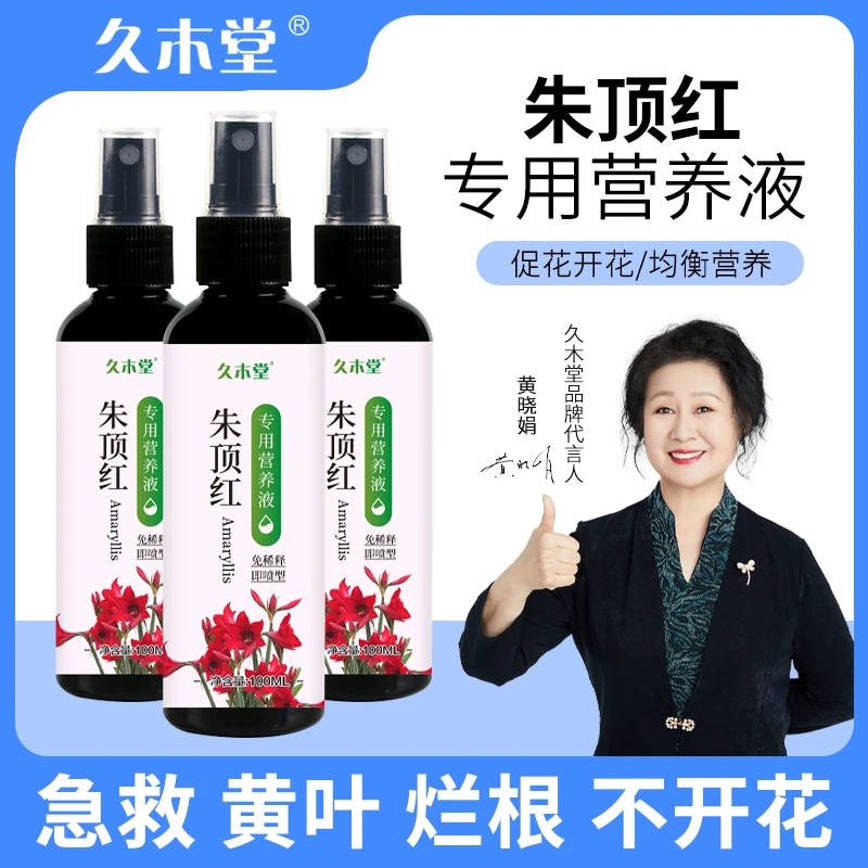 朱顶红营养液催花促箭防落叶黄叶掉花苞延花期壮根免稀释植物肥