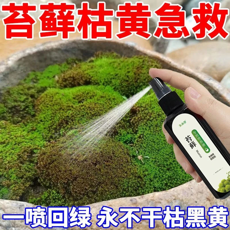 苔藓青苔植物专用营养液好催生孢子防枯假山铺面微景观植物营养液