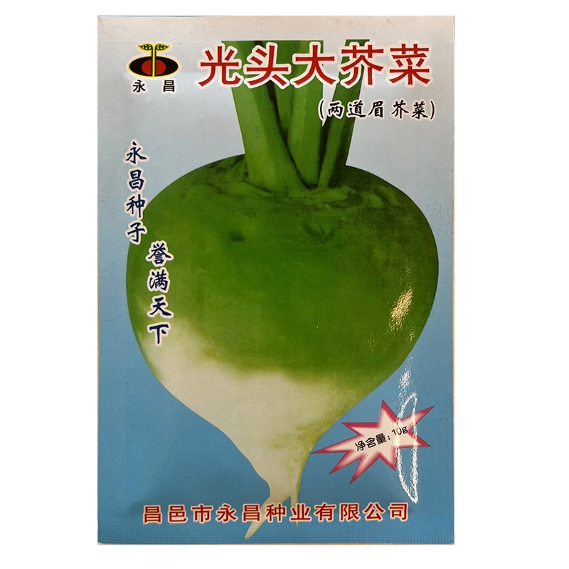 四季播蔬菜光头芥菜种子二道眉辣疙瘩北方大芥菜籽大头菜辣味腌菜
