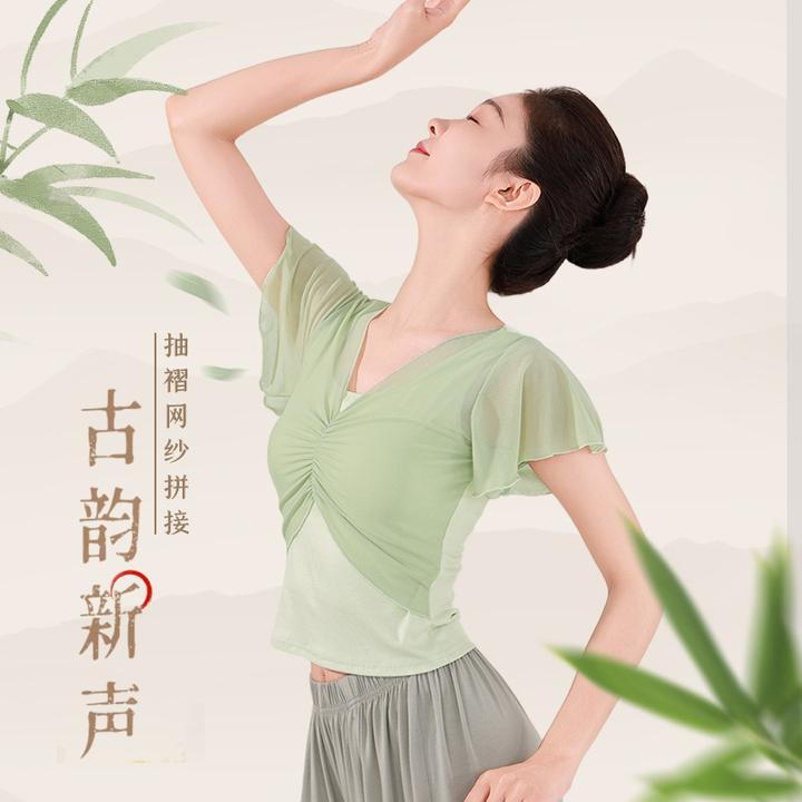 舞蹈服成人夏季新款古典舞服女纱衣仙气紧身显瘦现代舞练功服上衣