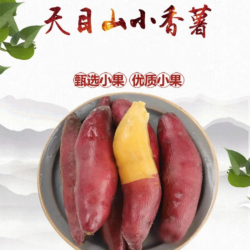 【天目山小香薯】甜糯无筋板栗薯红薯蜜薯红苕3-5斤新鲜代餐辅食