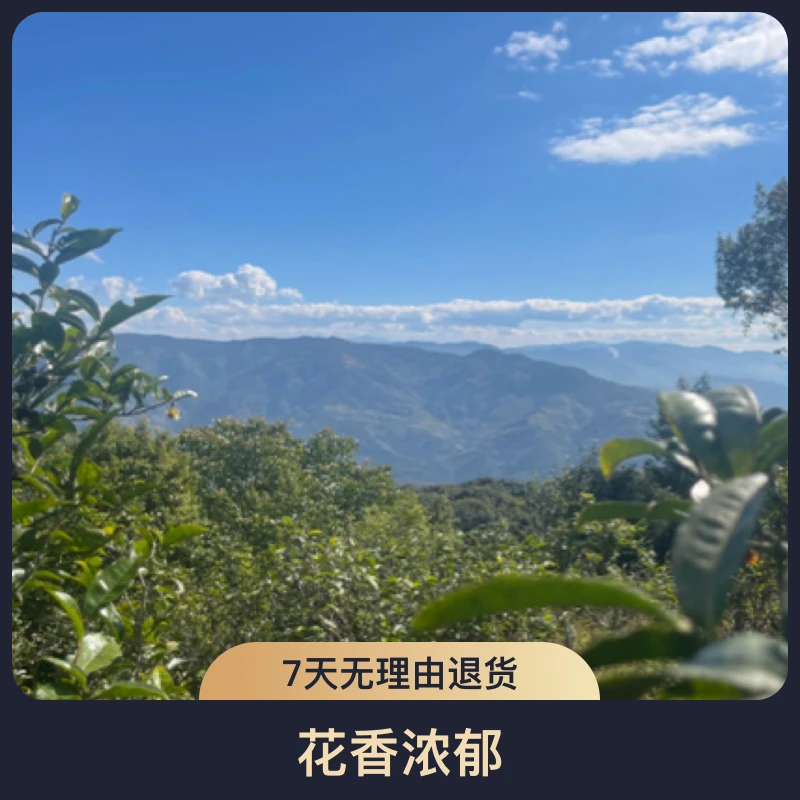 【专属】《通用链接》临沧红岗古茶