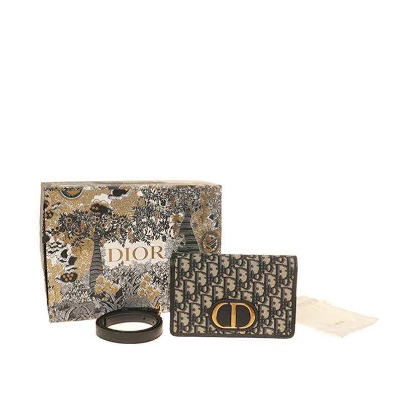 95新 DIOR/迪奥 胖虎佳佳/箱包/两用包/31B2409260013