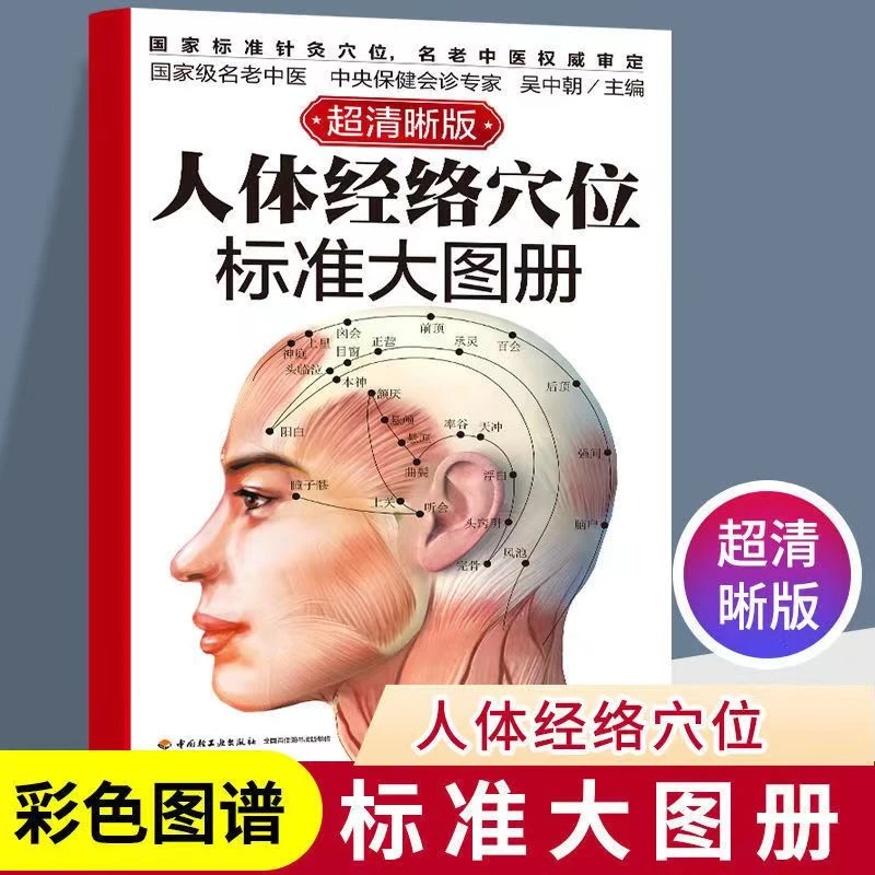正版人体经络穴位标准大图册人体穴位图解大全书中医按摩经络穴位