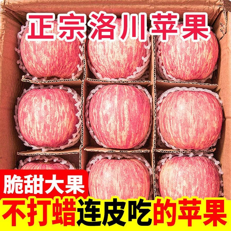 精选正宗陕西洛川苹果红富士脆甜冰糖心苹果1-9斤整箱新鲜苹果