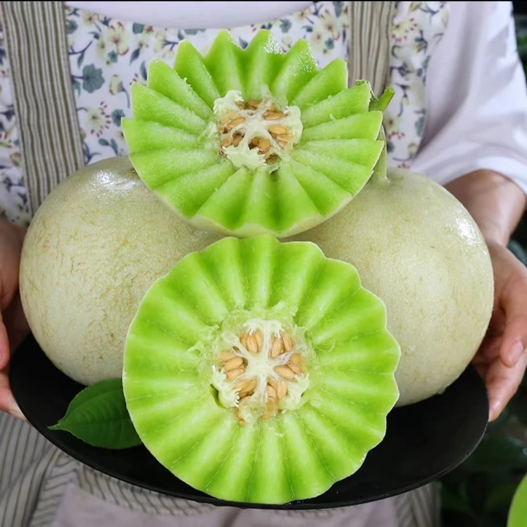 【坏果包赔】山东玉菇甜瓜4.5/8斤装香甜可口新鲜水果【ZY】