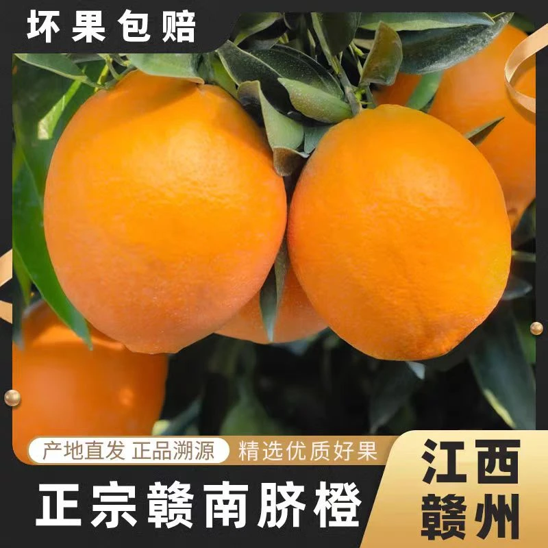 正宗赣南脐橙美味大果鲜甜多汁现摘现发大号果子