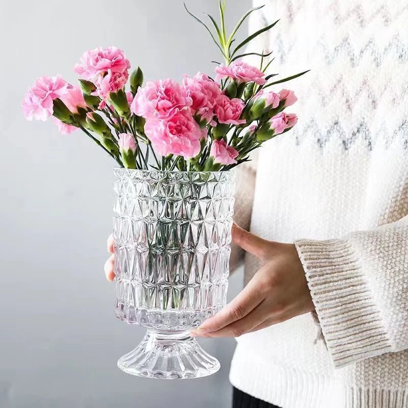 玻璃高脚花瓶摆件客厅水养干花插花北欧风复古透明水培容器ins风