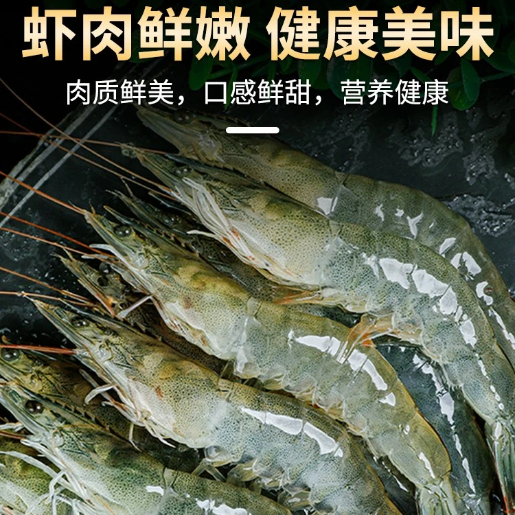 【新疆包邮】广东湛江单冻青虾毛重新鲜鲜冷冻青虾