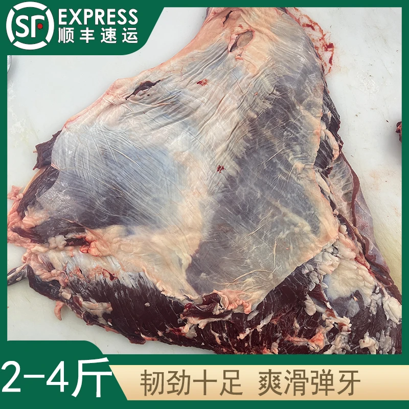 新鲜 牛白腩 [ 2-4 ]斤装【卤水、闷炖、白切、凉拌】顺丰冷链包邮