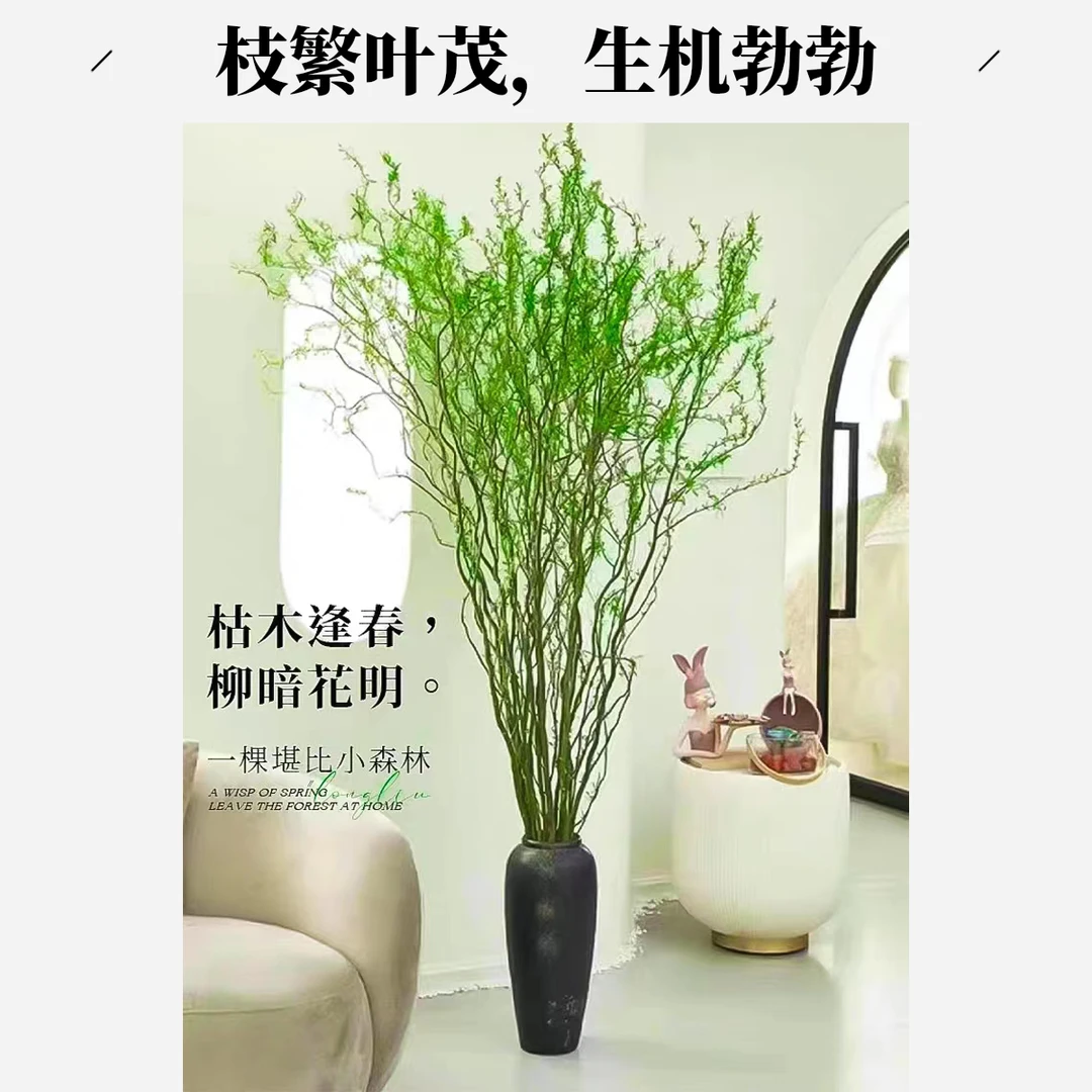 【不含瓶】国风龙柳1.3-1.5米鲜枝现切可装饰绿植居室艺术水培花卉