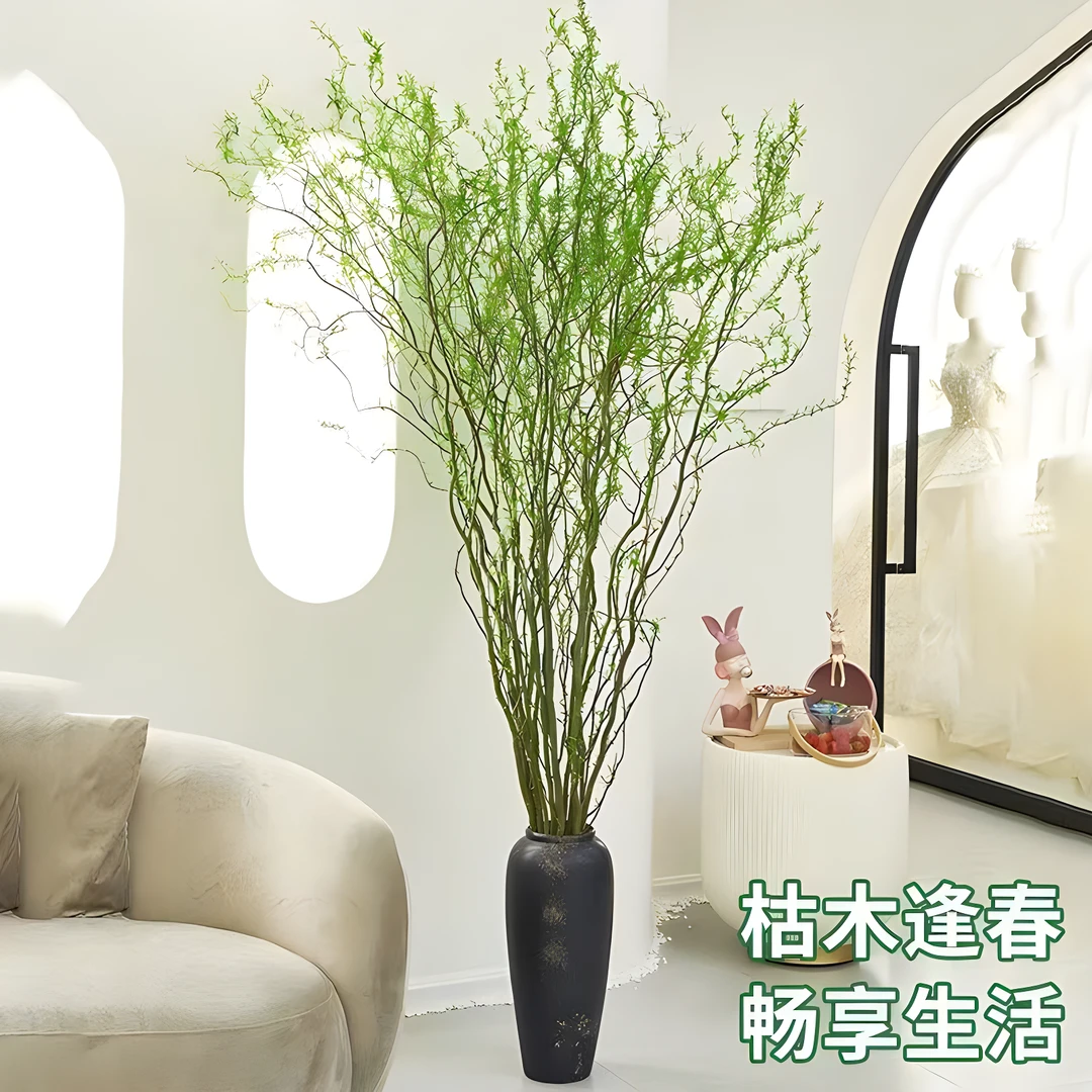 【鲜枝发货】到手13支1.4到1.5米国风龙柳鲜枝客厅水培植物花卉室内