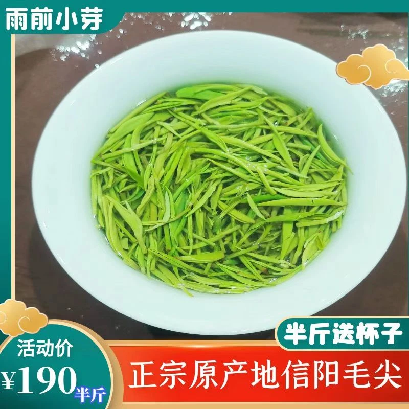 2023年 新茶  信阳毛尖  雨前小芽包邮250g500g茶叶毛尖茶盒装
