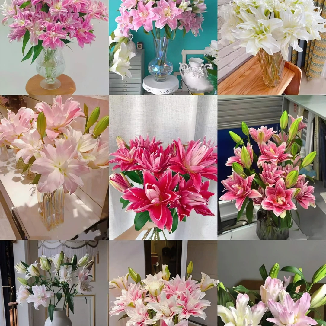 【福袋专用】不指定品种 鲜花 花卉