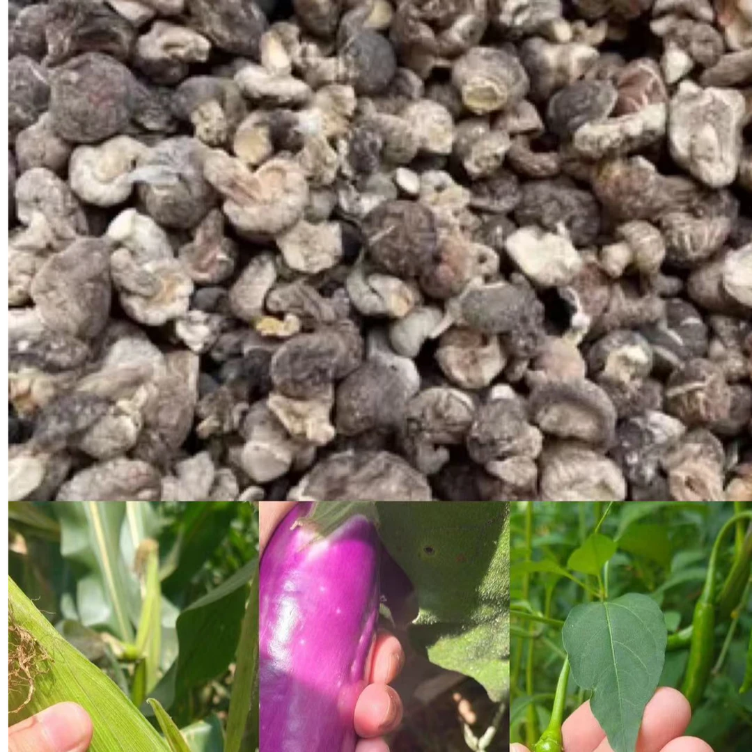 【香菇】净重-250g