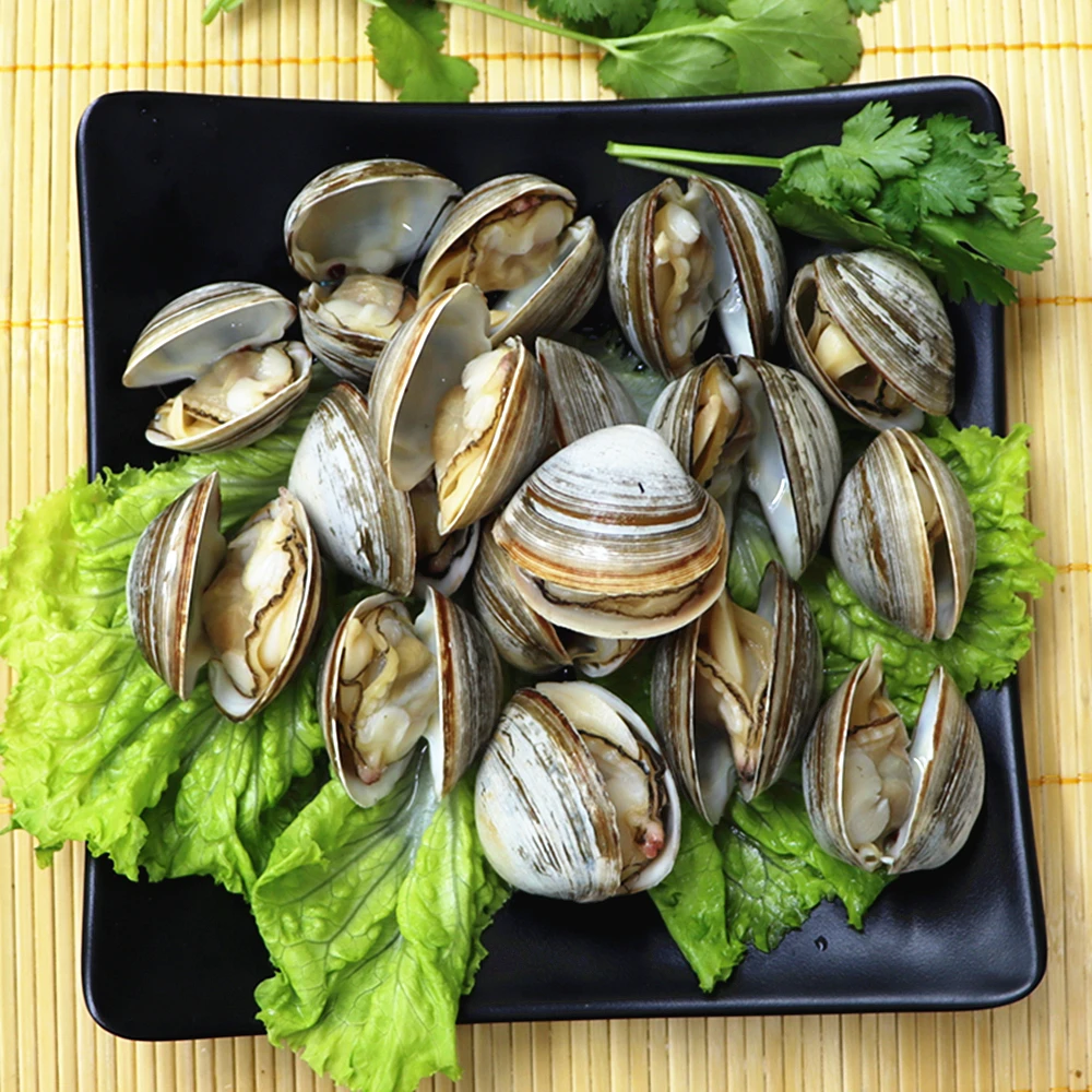 东港大白蚬子500g/袋*4熟制原味冻煮即食海鲜大白蛤【顺丰包邮】