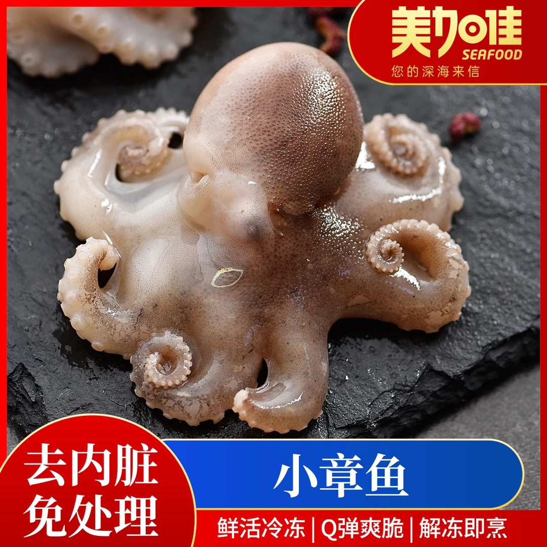 【美加佳】三去小章鱼500g捞汁火锅食材速冻新鲜三去内脏捕捞