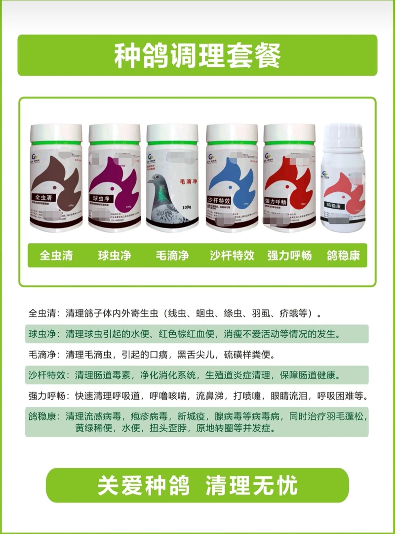 种鸽调理套装让种鸽更健康