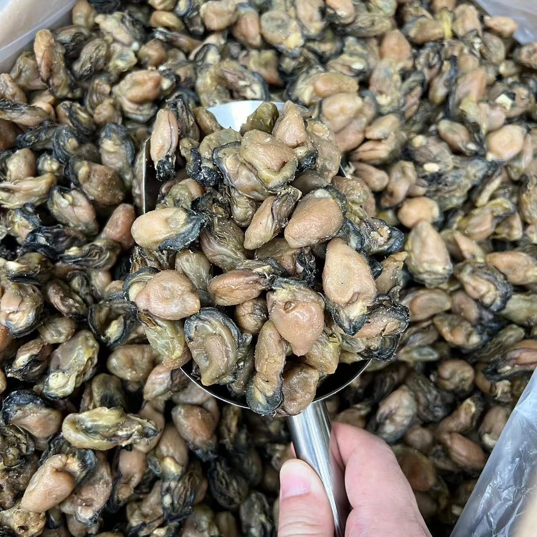 中号蚝豉干蚝士海蛎子干珍珠蚝干台山特产淡晒生蚝干
