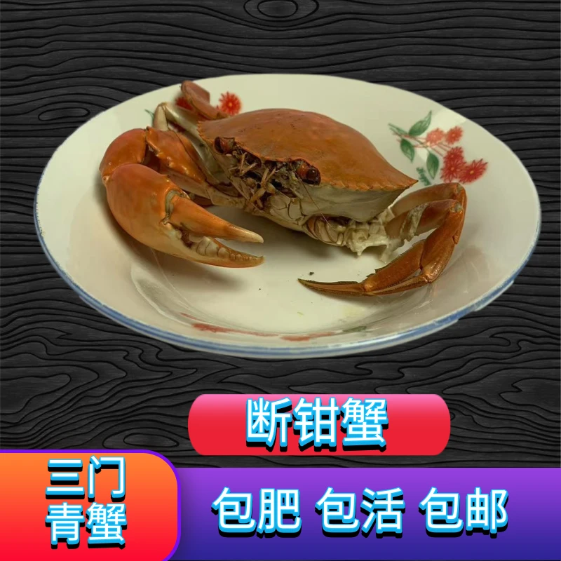 三门青蟹（残钳蟹）公蟹 母膏蟹【勿放冰箱】包肥包活肉蟹 顺丰包邮
