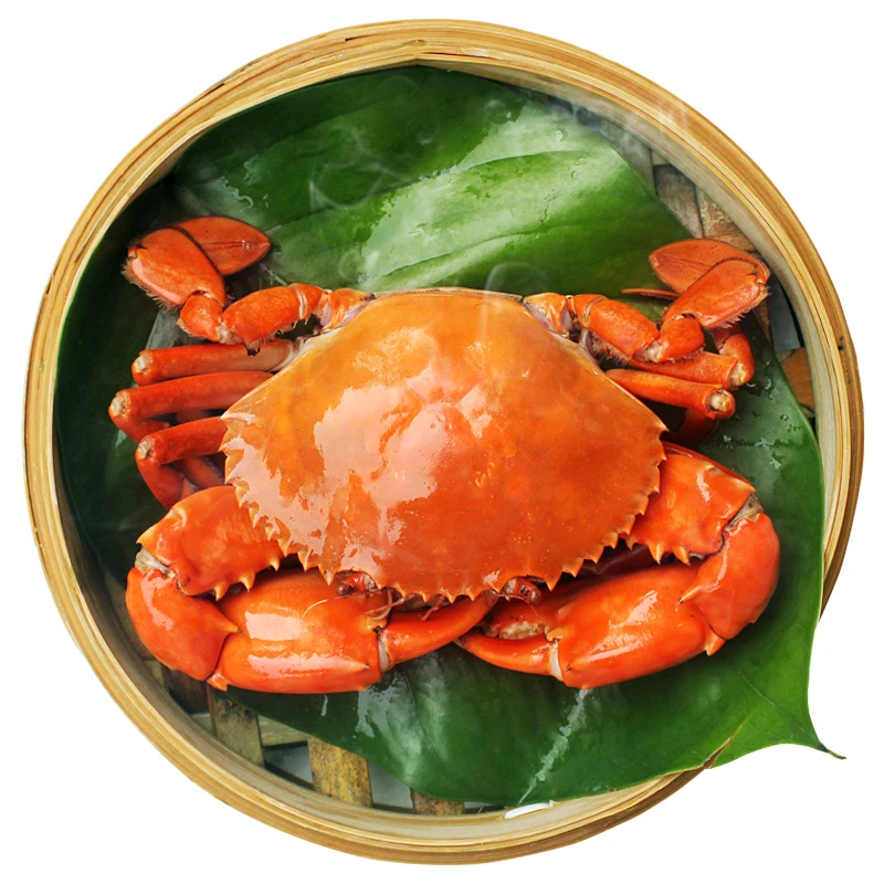 三门青蟹【现称链接】大母膏蟹 公蟹 肉蟹【不要放冰箱】海鲜水产包邮