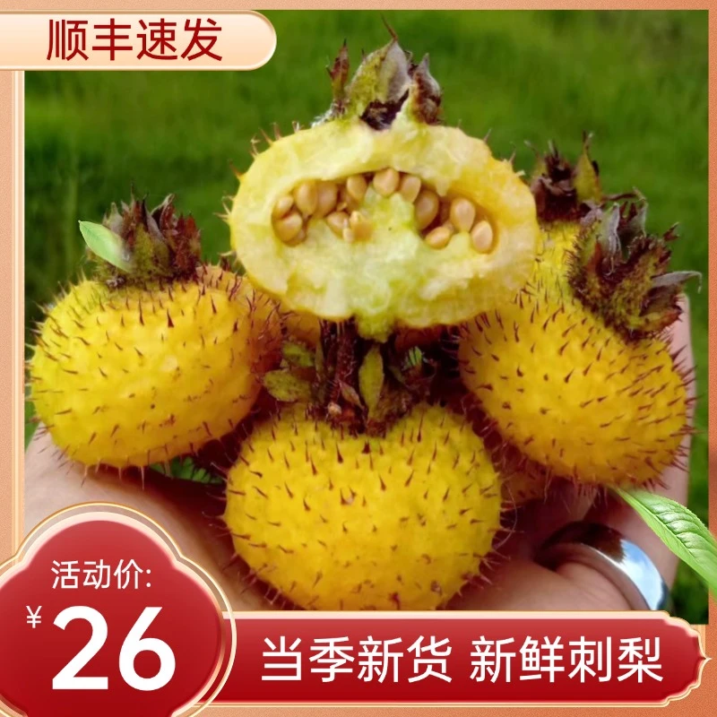 新鲜刺梨鲜果贵州特产有籽茨梨精选大果维C之王泡酒食用酸甜可口
