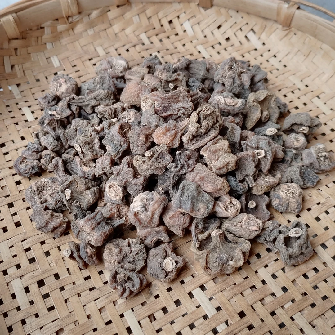 中缅佤山【龙鳞石斛】特产好货推荐